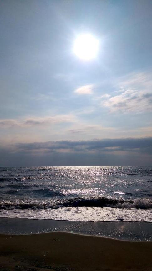 Alenstudios Paralia Katerinis Bagian luar foto