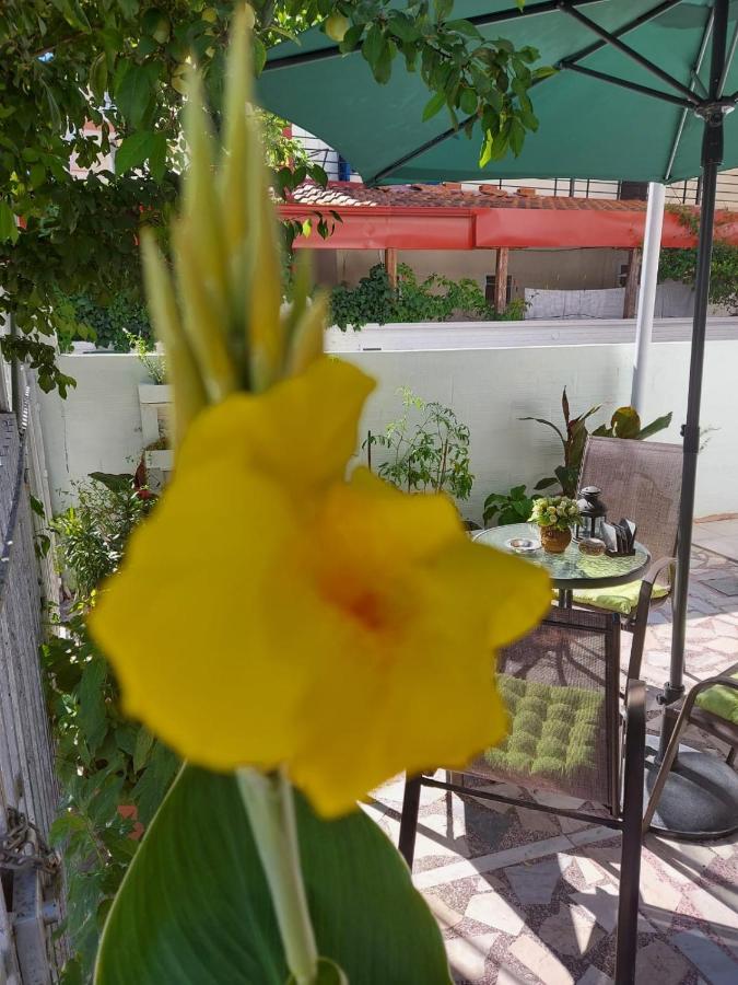 Alenstudios Paralia Katerinis Bagian luar foto
