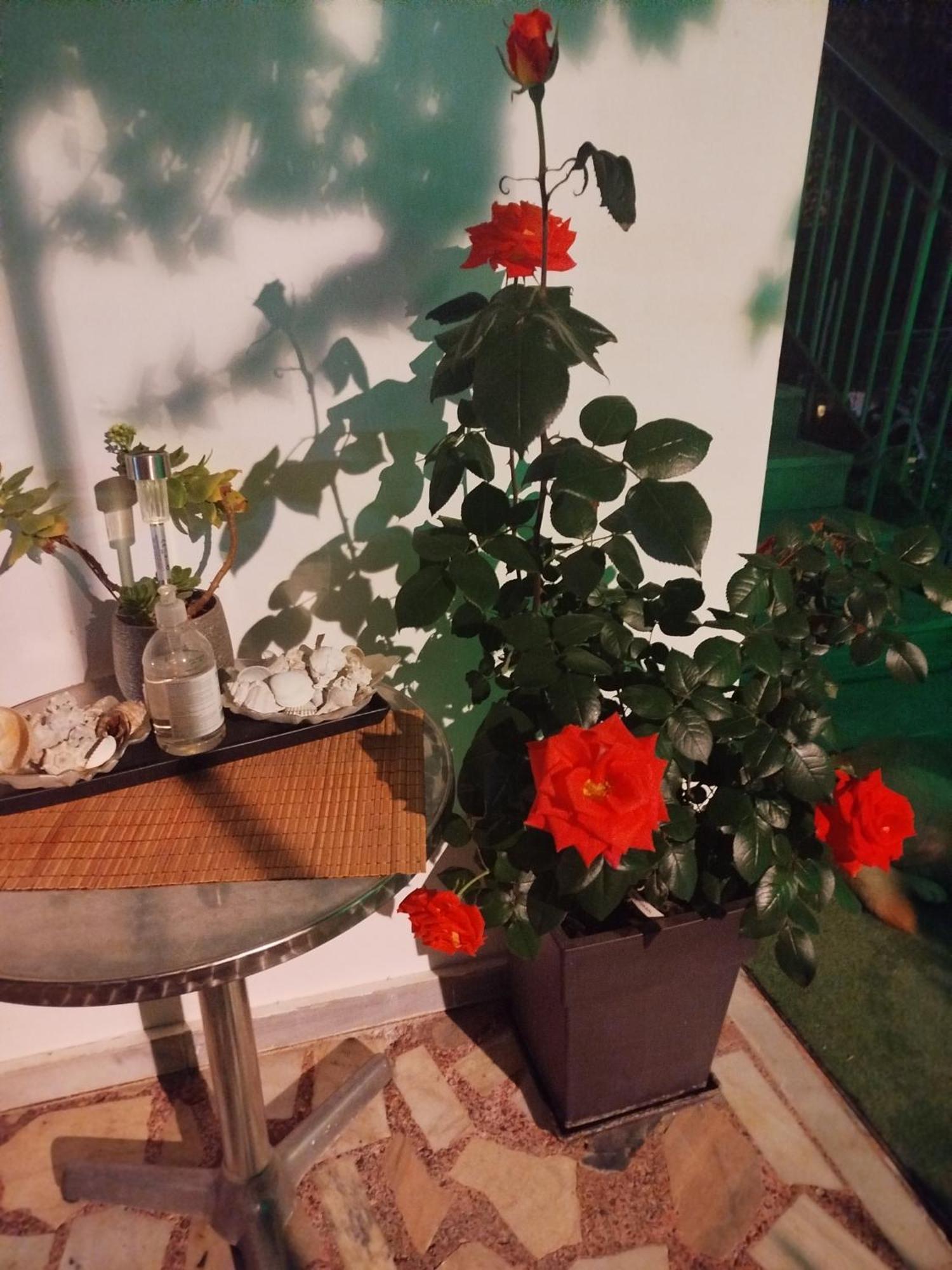 Alenstudios Paralia Katerinis Bagian luar foto